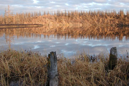 Tube Dispenser Lake