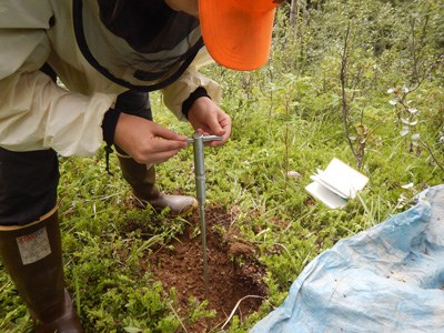Student conducting soil strength test