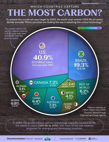 Which Countries Capture the Most Carbon? From the Decarbonization Channel