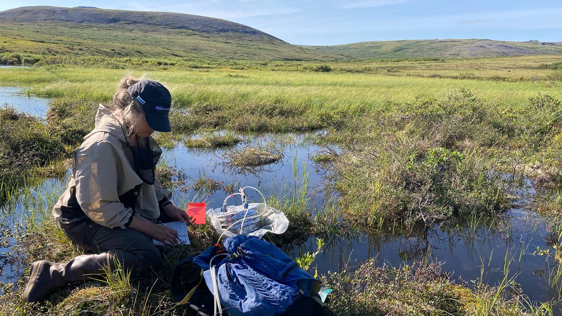 Katey Walter Anthony is measuring methane with a portable chamber on a newly flooded tundra site. UAF/INE photo by Peter Anthony.