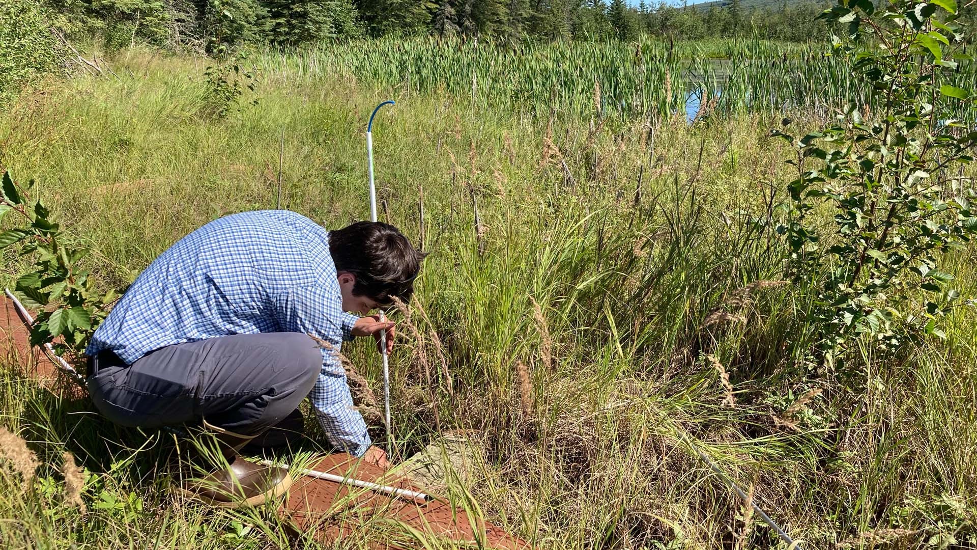 Andrew Mullen is installing a groundwater sipper at Big Trail Lake. UAF/INE photo by Katey Walter Anthony.