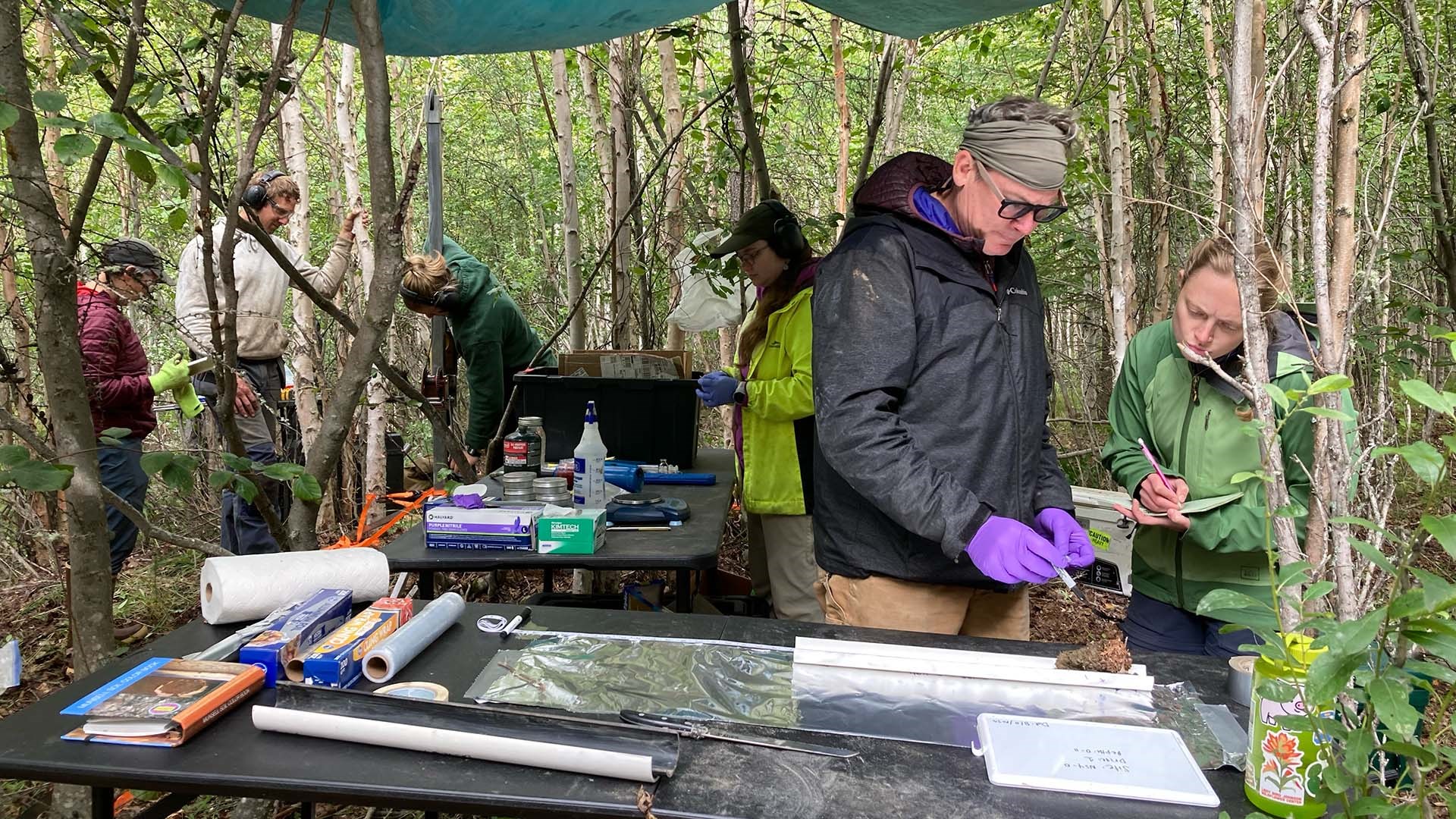 Researchers collect and sample thawed permafrost sediments from upland taliks near Fairbanks, Alaska. UAF/INE photo by Katey Walter Anthony.