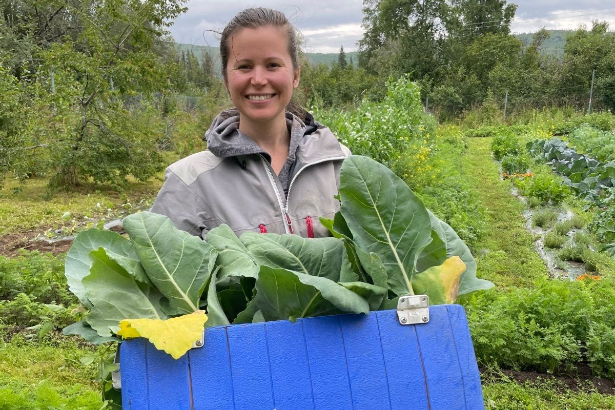 Melissa Ward Jones, principal investigator of the Permafrost Grown project, helps harvest crops during a visit to a collaborating farm. Photo courtesy of CivilEats.