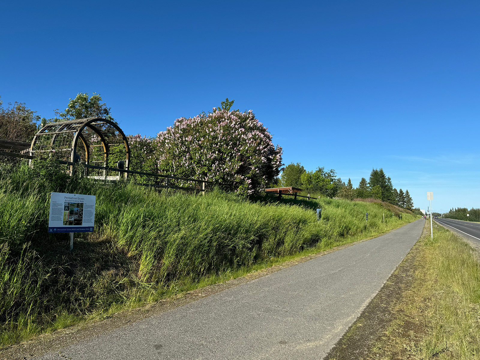 The first panel in the Permafrost Grown Art and Science Walk exhibit rises above the grass along the path on West Tanana Drive. Photo by Melissa Ward Jones.