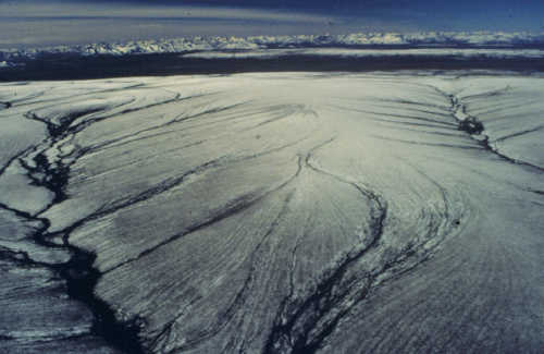 Water-tracks at an Imnavait watershed snowy ridge - 19929 Bytes