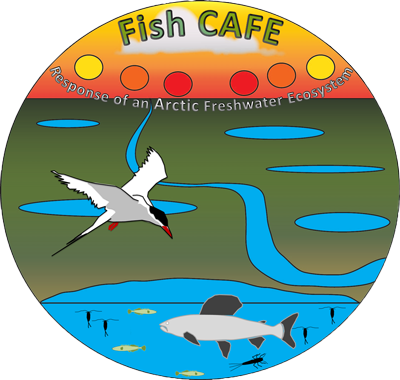FishCafe logo
