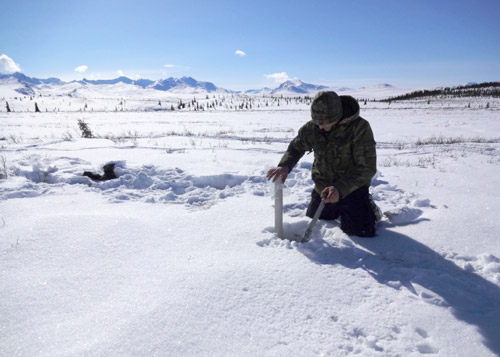 Researcher is sampling snow